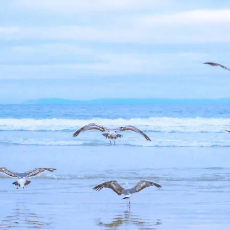 Horská chata Luttikduin Nr 19 - Aan Zee Callantsoog