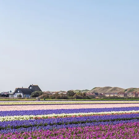 Luttikduin Nr 19 - Aan Zee *