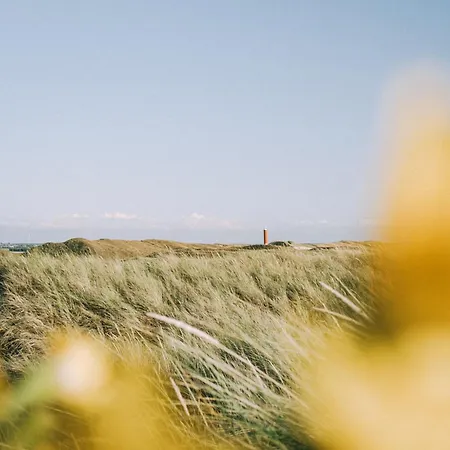 Luttikduin Nr 19 - Aan Zee Chalet *